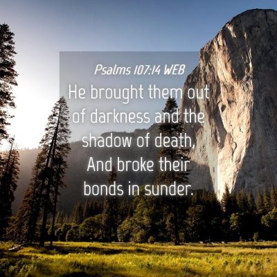 Picture 04 - Psalms 107:14 WEB - He brought them out of darkness and the shadow of - Bible Verse Picture