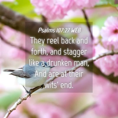 Picture 04 - Psalms 107:27 WEB - They reel back and forth, and stagger like a - Bible Verse Picture
