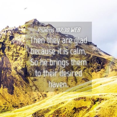 Picture 04 - Psalms 107:30 WEB - Then they are glad because it is calm, So he - Bible Verse Picture