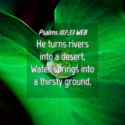 Picture 04 - Psalms 107:33 WEB - He turns rivers into a desert, Water springs into - Bible Verse Picture