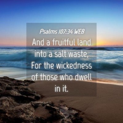 Picture 04 - Psalms 107:34 WEB - And a fruitful land into a salt waste, For the - Bible Verse Picture