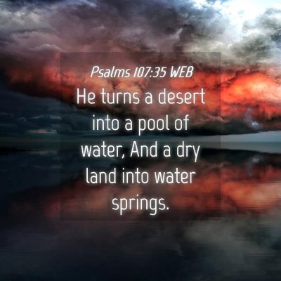 Picture 04 - Psalms 107:35 WEB - He turns a desert into a pool of water, And a dry - Bible Verse Picture