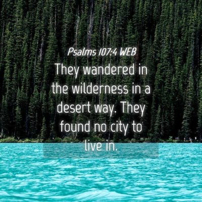 Picture 04 - Psalms 107:4 WEB - They wandered in the wilderness in a desert way. - Bible Verse Picture