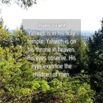 Picture 04 - Psalms 11:4 WEB - Yahweh is in his holy temple. Yahweh is on his - Bible Verse Picture