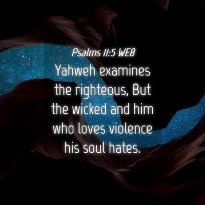 Picture 04 - Psalms 11:5 WEB - Yahweh examines the righteous, But the wicked and - Bible Verse Picture