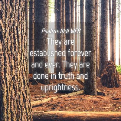 Picture 04 - Psalms 111:8 WEB - They are established forever and ever. They are - Bible Verse Picture