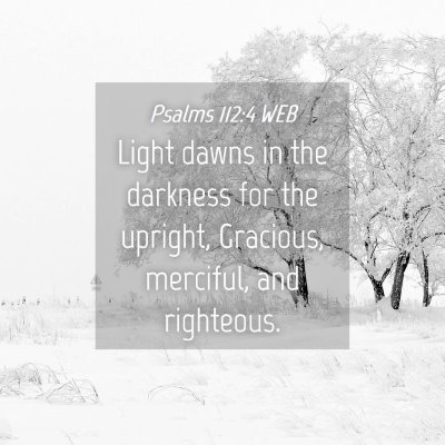 Picture 04 - Psalms 112:4 WEB - Light dawns in the darkness for the upright, - Bible Verse Picture