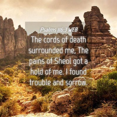 Picture 04 - Psalms 116:3 WEB - The cords of death surrounded me, The pains of - Bible Verse Picture