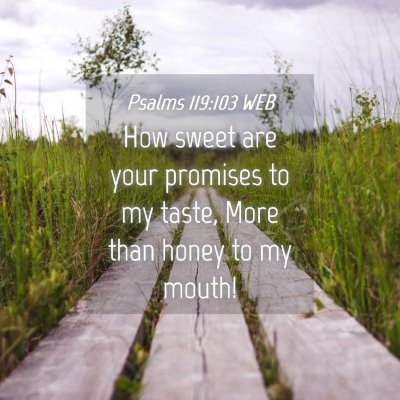 Picture 04 - Psalms 119:103 WEB - How sweet are your promises to my taste, More - Bible Verse Picture