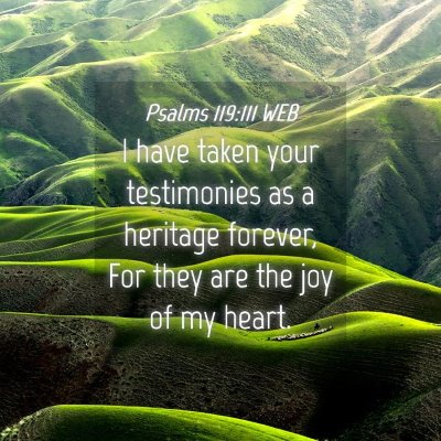 Picture 04 - Psalms 119:111 WEB - I have taken your testimonies as a heritage - Bible Verse Picture