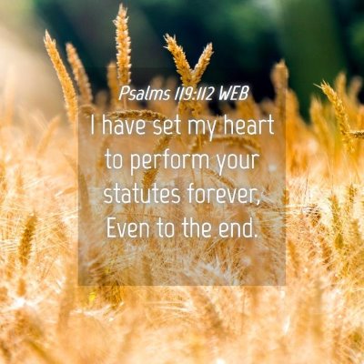 Picture 04 - Psalms 119:112 WEB - I have set my heart to perform your statutes - Bible Verse Picture