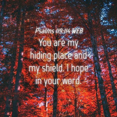 Picture 04 - Psalms 119:114 WEB - You are my hiding place and my shield. I hope in - Bible Verse Picture