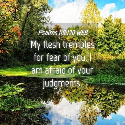 Picture 04 - Psalms 119:120 WEB - My flesh trembles for fear of you. I am afraid of - Bible Verse Picture