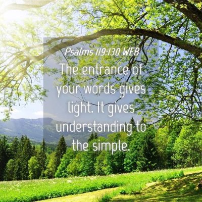 Picture 04 - Psalms 119:130 WEB - The entrance of your words gives light. It gives - Bible Verse Picture