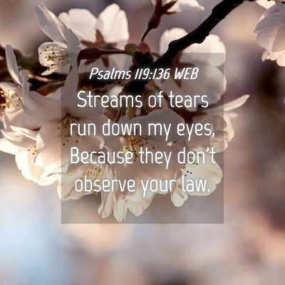 Picture 04 - Psalms 119:136 WEB - Streams of tears run down my eyes, Because they - Bible Verse Picture