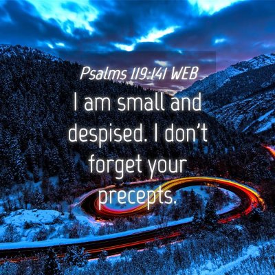 Picture 04 - Psalms 119:141 WEB - I am small and despised. I don't forget your - Bible Verse Picture