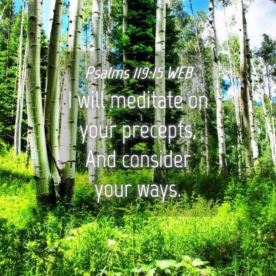 Picture 04 - Psalms 119:15 WEB - I will meditate on your precepts, And consider - Bible Verse Picture