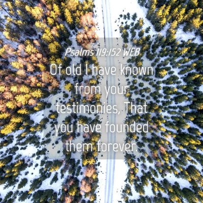 Picture 04 - Psalms 119:152 WEB - Of old I have known from your testimonies, That - Bible Verse Picture