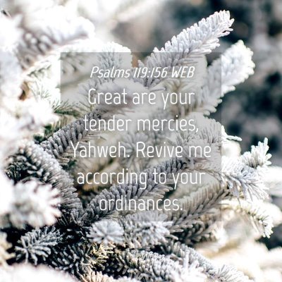 Picture 04 - Psalms 119:156 WEB - Great are your tender mercies, Yahweh. Revive me - Bible Verse Picture