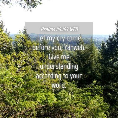 Picture 04 - Psalms 119:169 WEB - Let my cry come before you, Yahweh. Give me - Bible Verse Picture