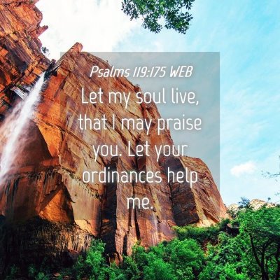 Picture 04 - Psalms 119:175 WEB - Let my soul live, that I may praise you. Let your - Bible Verse Picture