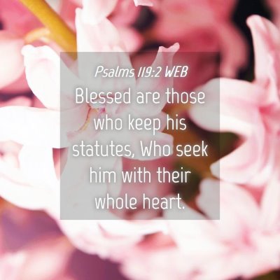 Picture 04 - Psalms 119:2 WEB - Blessed are those who keep his statutes, Who seek - Bible Verse Picture
