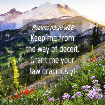 Picture 04 - Psalms 119:29 WEB - Keep me from the way of deceit. Grant me your law - Bible Verse Picture