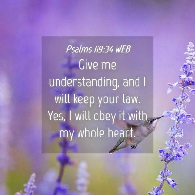 Picture 04 - Psalms 119:34 WEB - Give me understanding, and I will keep your law. - Bible Verse Picture
