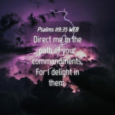 Picture 04 - Psalms 119:35 WEB - Direct me in the path of your commandments, For I - Bible Verse Picture