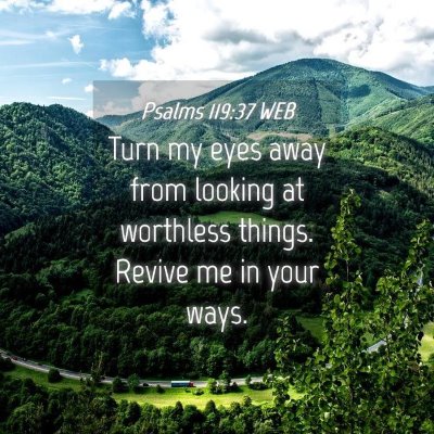 Picture 04 - Psalms 119:37 WEB - Turn my eyes away from looking at worthless - Bible Verse Picture