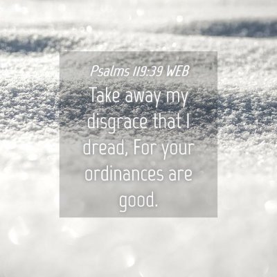 Picture 04 - Psalms 119:39 WEB - Take away my disgrace that I dread, For your - Bible Verse Picture