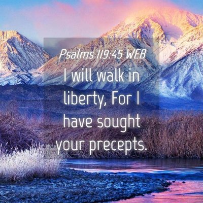 Picture 04 - Psalms 119:45 WEB - I will walk in liberty, For I have sought your - Bible Verse Picture