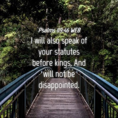 Picture 04 - Psalms 119:46 WEB - I will also speak of your statutes before kings, - Bible Verse Picture