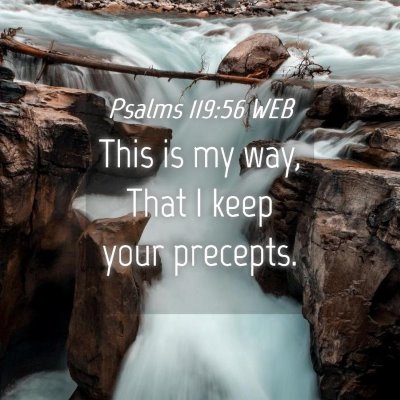 Picture 04 - Psalms 119:56 WEB - This is my way, That I keep your - Bible Verse Picture