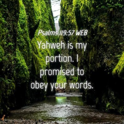 Picture 04 - Psalms 119:57 WEB - Yahweh is my portion. I promised to obey your - Bible Verse Picture