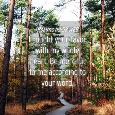 Picture 04 - Psalms 119:58 WEB - I sought your favor with my whole heart. Be - Bible Verse Picture