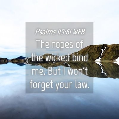 Picture 04 - Psalms 119:61 WEB - The ropes of the wicked bind me, But I won't - Bible Verse Picture