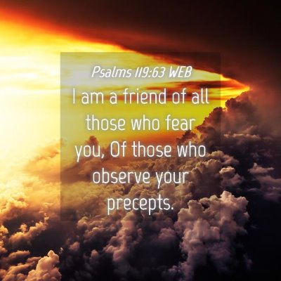 Picture 04 - Psalms 119:63 WEB - I am a friend of all those who fear you, Of those - Bible Verse Picture