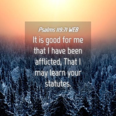 Picture 04 - Psalms 119:71 WEB - It is good for me that I have been afflicted, - Bible Verse Picture