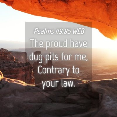 Picture 04 - Psalms 119:85 WEB - The proud have dug pits for me, Contrary to your - Bible Verse Picture