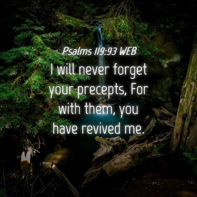 Picture 04 - Psalms 119:93 WEB - I will never forget your precepts, For with them, - Bible Verse Picture