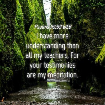 Picture 04 - Psalms 119:99 WEB - I have more understanding than all my teachers, - Bible Verse Picture
