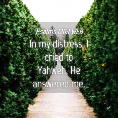 Picture 04 - Psalms 120:1 WEB - In my distress, I cried to Yahweh. He answered - Bible Verse Picture