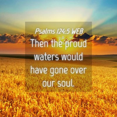 Picture 04 - Psalms 124:5 WEB - Then the proud waters would have gone over our - Bible Verse Picture