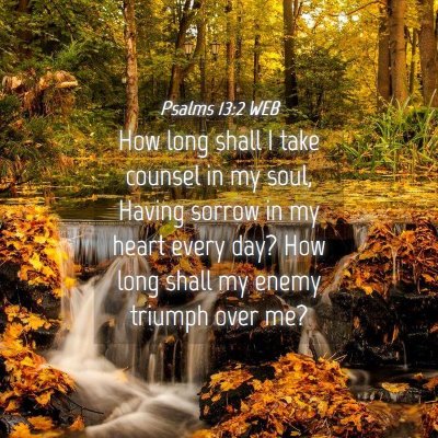 Picture 04 - Psalms 13:2 WEB - How long shall I take counsel in my soul, Having - Bible Verse Picture