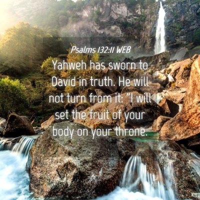 Picture 04 - Psalms 132:11 WEB - Yahweh has sworn to David in truth. He will not - Bible Verse Picture