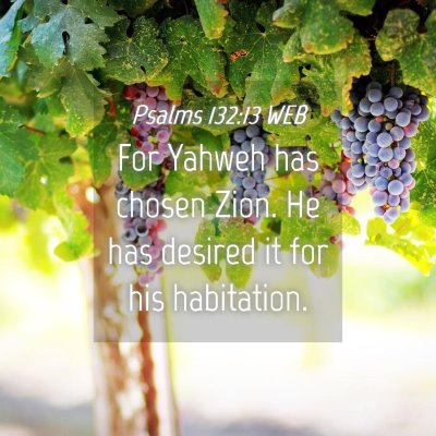 Picture 04 - Psalms 132:13 WEB - For Yahweh has chosen Zion. He has desired it for - Bible Verse Picture