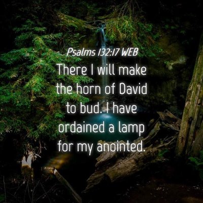 Picture 04 - Psalms 132:17 WEB - There I will make the horn of David to bud. I - Bible Verse Picture
