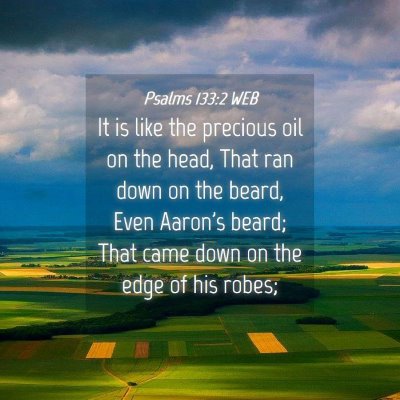 Picture 04 - Psalms 133:2 WEB - It is like the precious oil on the head, That ran - Bible Verse Picture