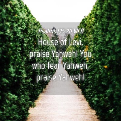 Picture 04 - Psalms 135:20 WEB - House of Levi, praise Yahweh! You who fear - Bible Verse Picture